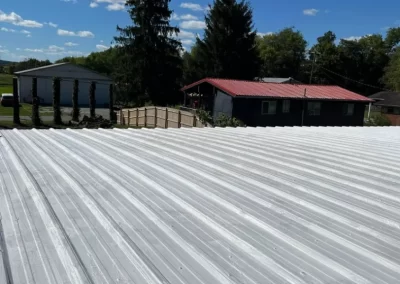 Proficient Handyman Services